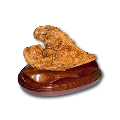 Baby Sleeping in Angel Wings