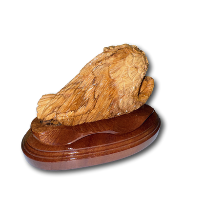 Baby Sleeping in Angel Wings