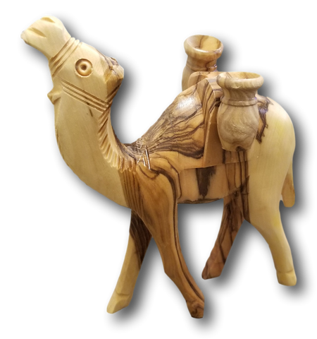 Camels