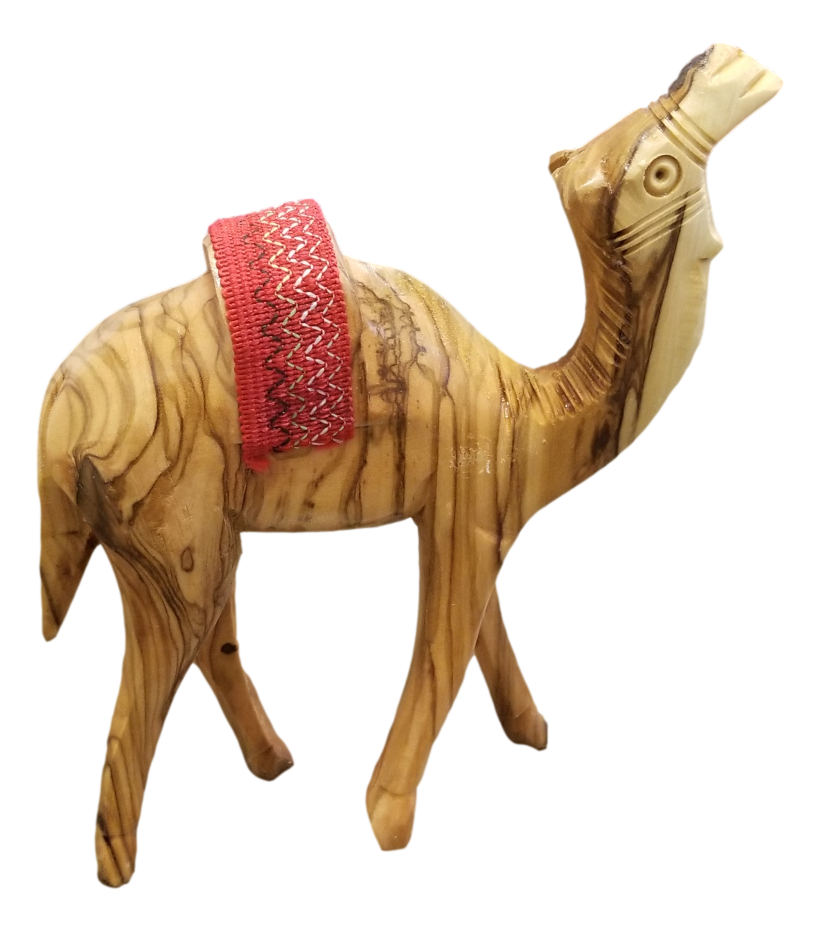 Camels