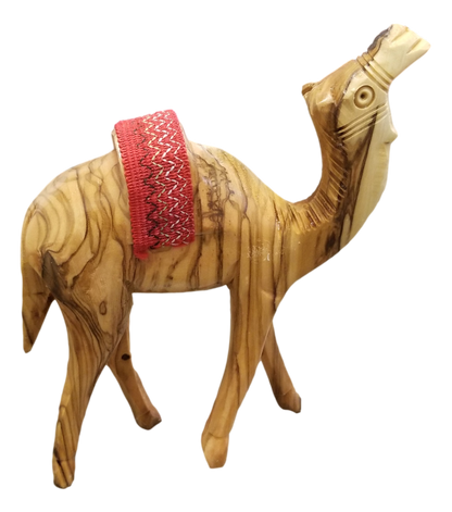 Camels