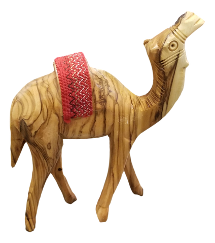 Camels