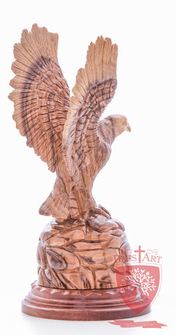 American Eagle, Cathedral Quality - Olive wood